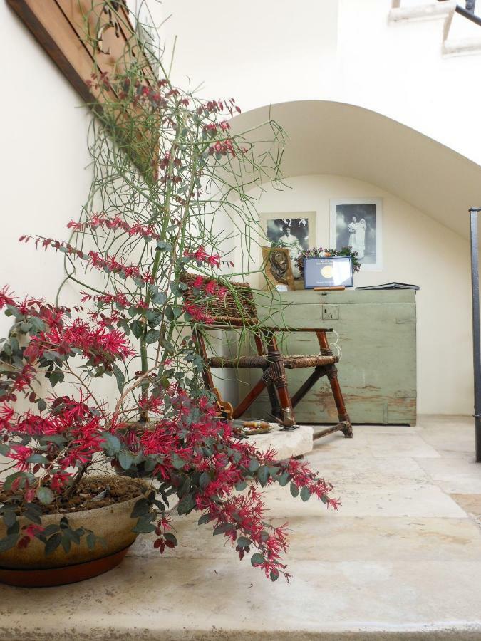 Bed and Breakfast Palazzo Antica Via Appia Bitonto Exteriér fotografie